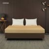 Nệm Foam Edena