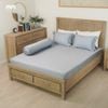 Bộ Ra Bọc MM Tencel Dệt Kim 26