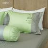 Bộ Ra Edena Cotton Solid 389