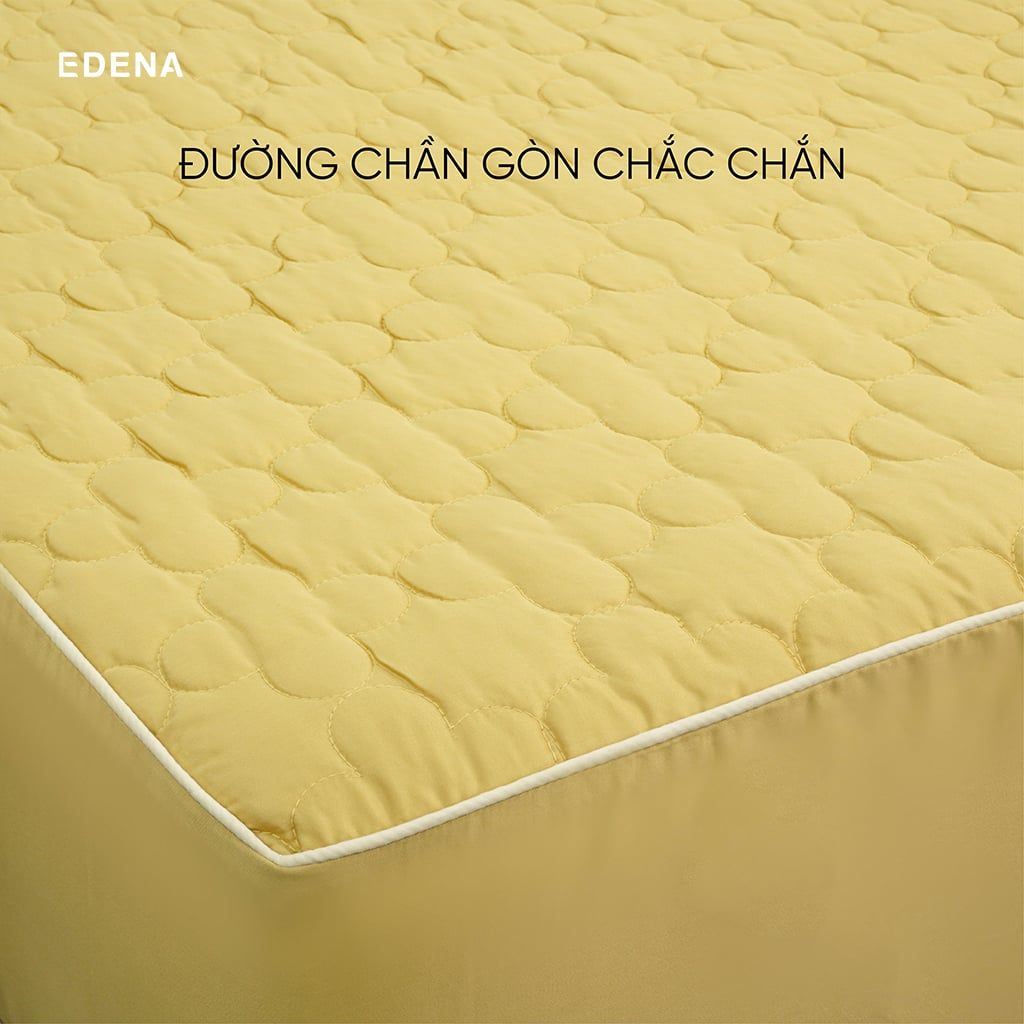 Bộ Ra Bọc Chần Gòn Tencel Everyday