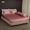 Bộ ra bọc MM Tencel Dệt Kim 20