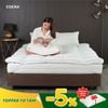 Topper Tơ Tằm