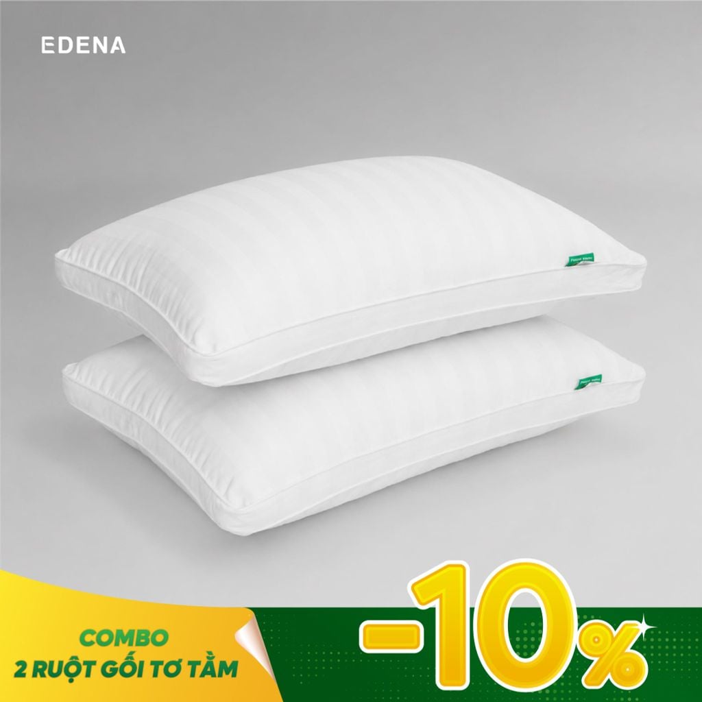 Combo 02 ruột gối Tơ Tằm