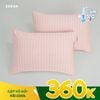 Cặp Vỏ Gối Vải Cool
