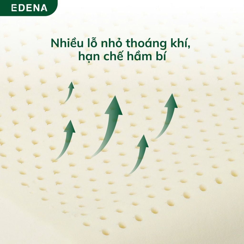 Ruột gối cao su