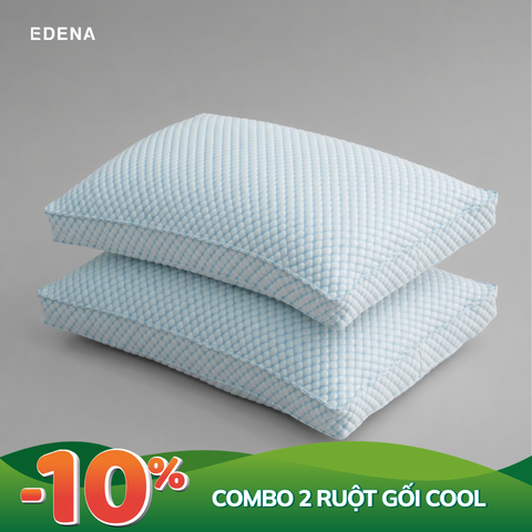 Combo 02 ruột gối Cool