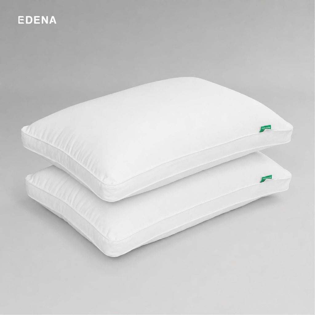Combo 02 ruột gối Tơ Tằm