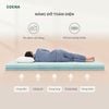 Nệm Bông Ép Chần Gòn Edena
