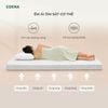 Nệm Foam Icypad