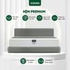 Nệm Lò Xo Túi Premium