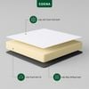 Nệm Foam Icypad
