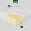 Nệm Foam Royal