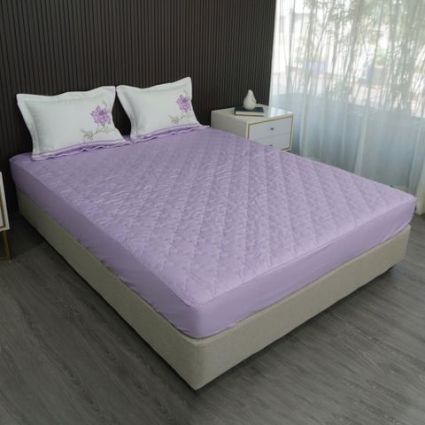 Ra Bọc Chần Gòn Cotton Solid Edena