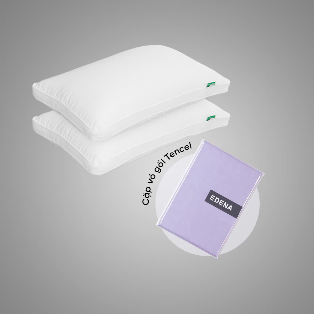 Combo Cặp ruột gối tơ tằm + cặp vỏ gối Everyday Tencel