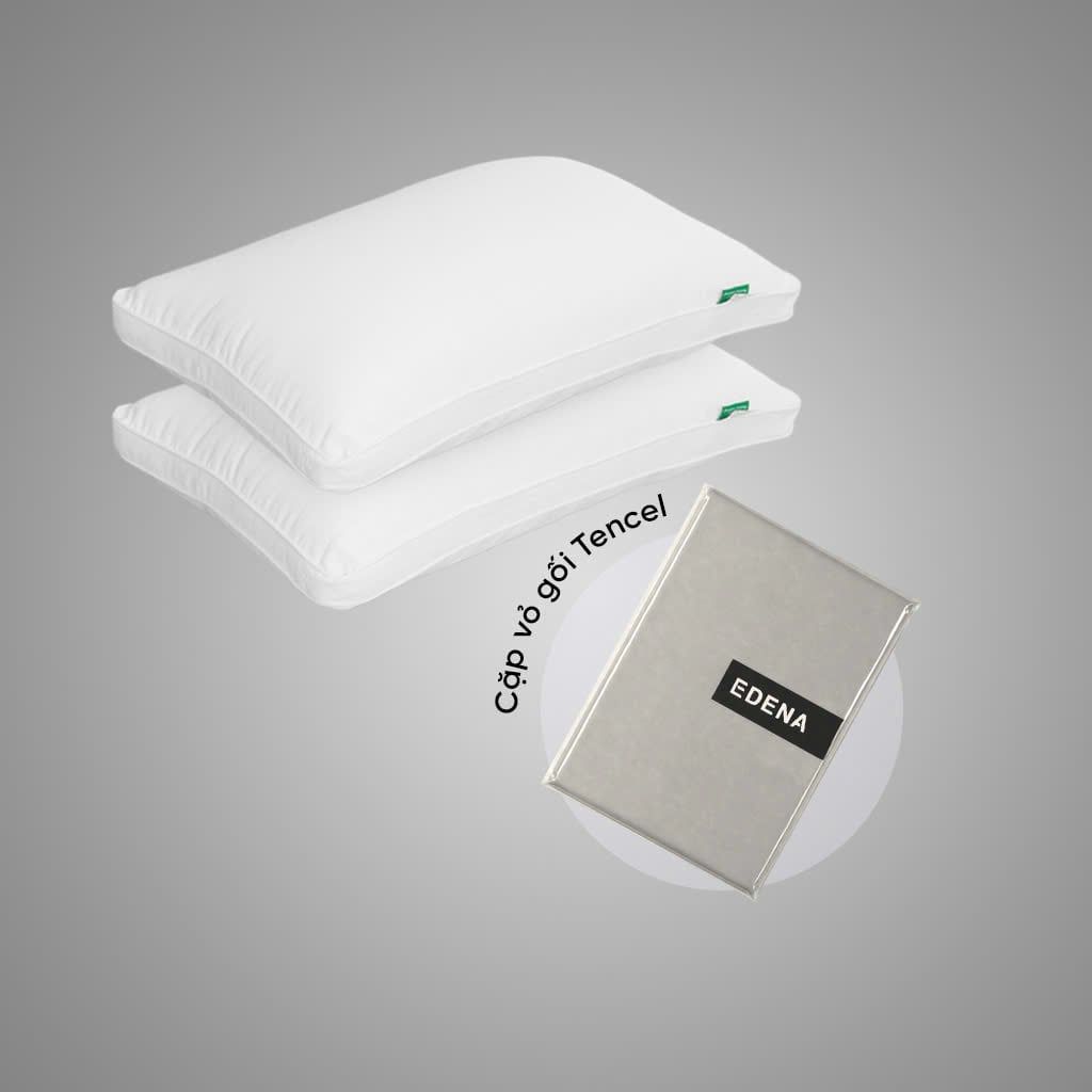 Combo Cặp ruột gối tơ tằm + cặp vỏ gối Everyday Tencel