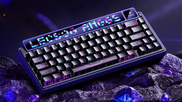 Bàn Phím Cơ Leobog AMG65 Tri Mode (Tím đen/Jadeite switch)