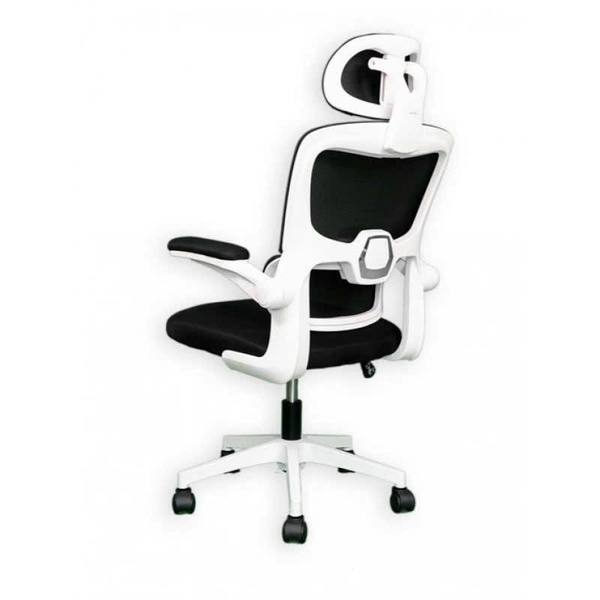 Ghế TMS09 (418) Ergonomic Công Thái Học Black White