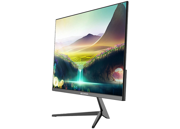 MÀN HÌNH EDRA EGM24F100PV 24