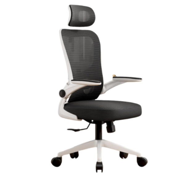 Ghế TMS09 (418) Ergonomic Công Thái Học Black White