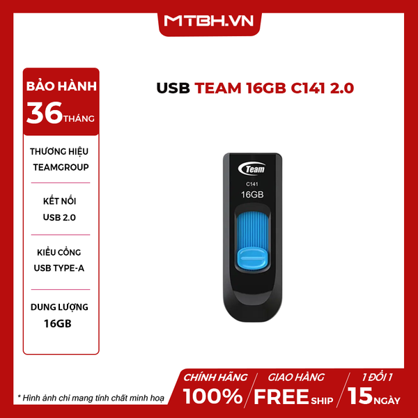 USB Team 16GB C141 2.0