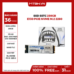 SSD SSTC 256G E130 PCIe Gen3 x4 NVMe M.2 2280