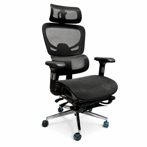 Ghế CTH909 Ergonomic Công Thái Học Black