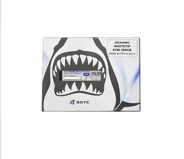 SSD SSTC 256G E130 PCIe Gen3 x4 NVMe M.2 2280
