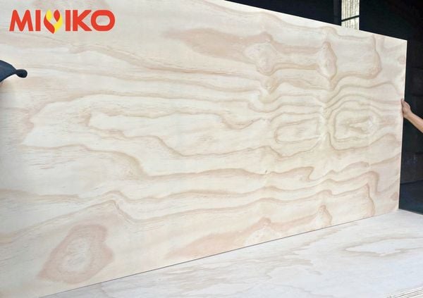 Ván Gỗ ép Plywood Chống Cháy