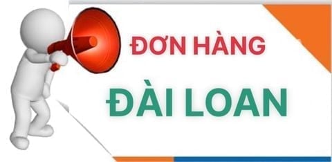 TỔNG HỢP ĐƠN ĐÀI LOAN T1 8 2026