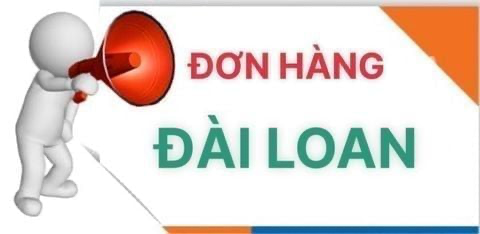 TỔNG HỢP ĐƠN ĐÀI LOAN T3 7 2026