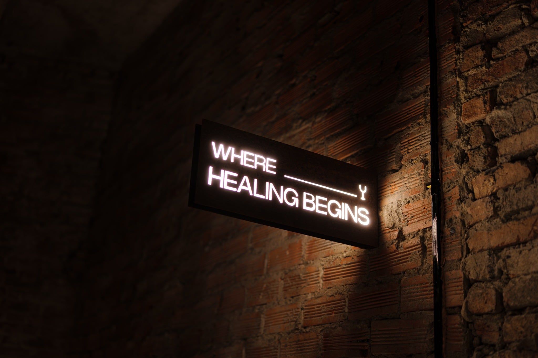 Drinking & Healing - 25 Hồ Tùng Mậu