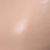 Giày Nữ Cao Gót Bít Mũi Nhọn CHRISTINA-Q GBN374I