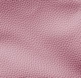 Sục Nữ Mũi Nhọn CHRISTINA-Q SUC059H