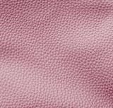 Sục Nữ Mũi Nhọn CHRISTINA-Q SUC059H