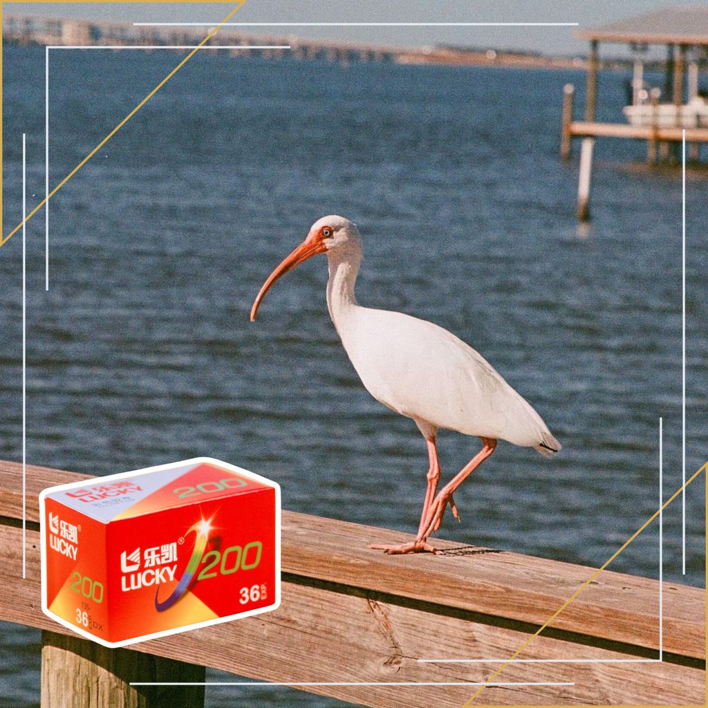 Film Lucky, Lucky 200, Film lucky 200, Film cuộn