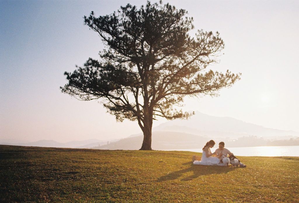 Film Kodak GOLD 200 36 exp (Hộp)