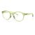 817609 - Polished translucent fern