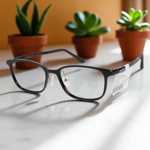  Gọng Kính Glasses Exfash EF14462 - Tem Chính Hãng 