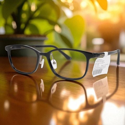  Gọng Kính Glasses Exfash EF14462 - Tem Chính Hãng 