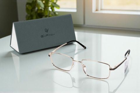  Gọng Kính Titanium Chữ Nhật Exfash EF83290T – Tem Chính Hãng 101 