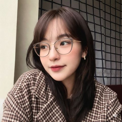  Zenta DP25-A-ZT8233 Gọng Kính Mắt Mèo Titanium IP – Chính Hãng 