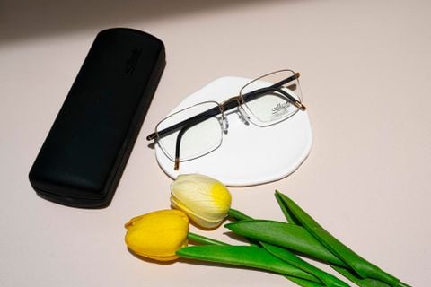  Silhouette Illusion Nylor 5560 Gọng Kính Nửa Khung – Tem Chính Hãng 101 