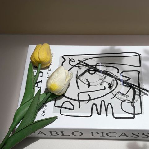  Silhouette Momentum 5540JF Kính Không Gọng - Tem Chính Hãng 101 