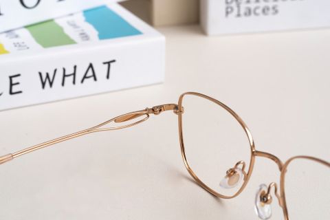  Zenta DP25-A-ZT8162 Gọng Kính Mắt Mèo Titanium – Chính Hãng 