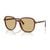 26E10R Striped tobacco
