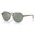 66355C - Transparent green