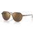 663693 - Transparent brown