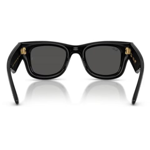  RayBan Wayfarer Puffer 0RB4940BP Kính Mát-Tem Chính Hãng Luxottica 