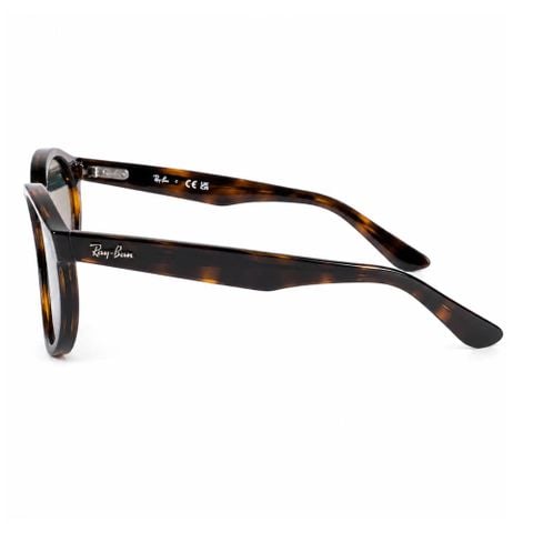  RayBan Oval 0RBR0505S Kính Mát - Tem Chính Hãng Luxottica 