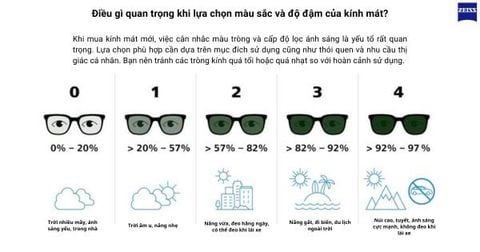  Zeiss AdaptiveSun Polarized Digital Light 2 3D Tròng Kính Râm Phân Cực Đổi Màu với Lớp Phủ DuraVision Gold 